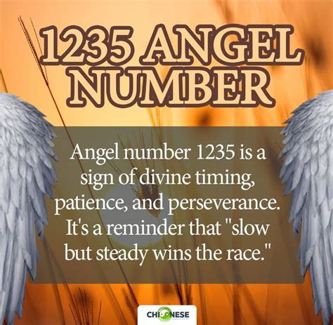 1235 Angel Number Twin Flame